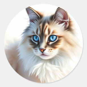 Portret van een pluizige Ragdoll kat met blauwe og Ronde Sticker