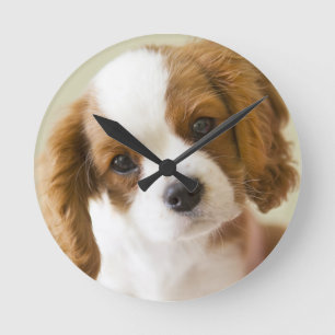Portret van een puppy van koning Charles Spaniel Ronde Klok