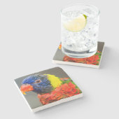 Portret van een Rainbow Loriket Stenen Onderzetter (Zijkant)