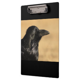 Portret van een Raven Klembord