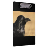 Portret van een Raven Klembord (Rechts)