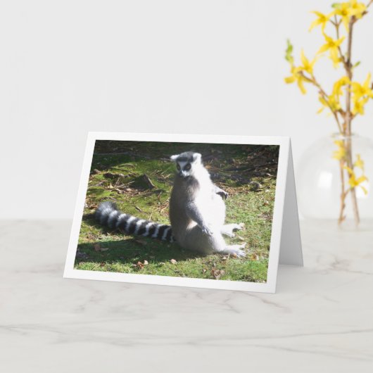 Portret van een ringstaartmaki kaart (Gele Bloem)