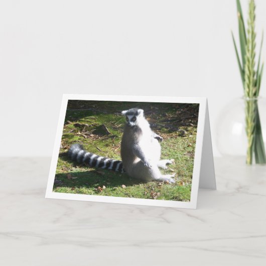 Portret van een ringstaartmaki kaart (Voorkant)