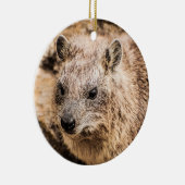 Portret van een Rock Hyrax Keramisch Ornament (Rechts)