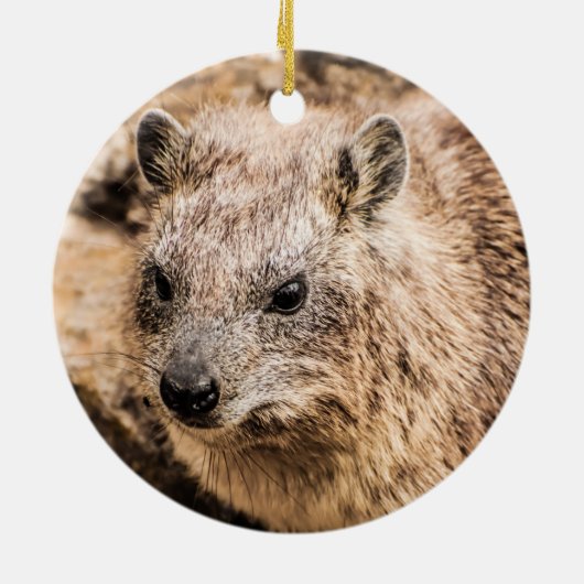 Portret van een Rock Hyrax Keramisch Ornament (Achterkant)