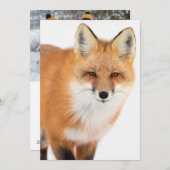 Portret van een Rode Fox Feestdagenkaart (Voorkant / Achterkant)