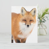 Portret van een Rode Fox Feestdagenkaart (Staand voorkant)