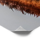 Portret van een rode vos | AI Art Poster (Hoek)