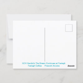 Portret van een ruige Sable Collie Briefkaart