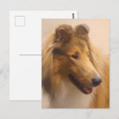 Portret van een ruige Sable Collie Briefkaart (Voorkant / Achterkant)