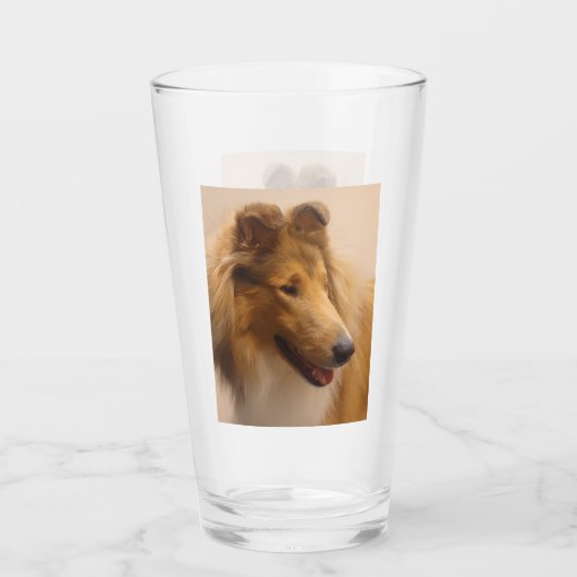 Portret van een ruige Sable Collie Glas (Voorkant)