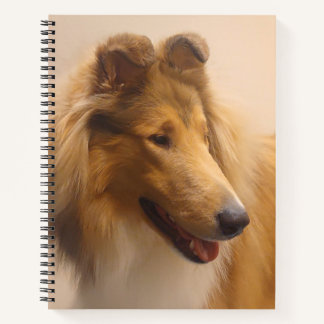 Portret van een ruige Sable Collie Notitieboek