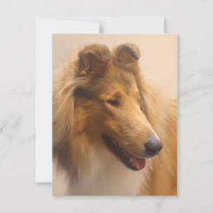 Portret van een ruige Sable Collie Notitiekaartje
