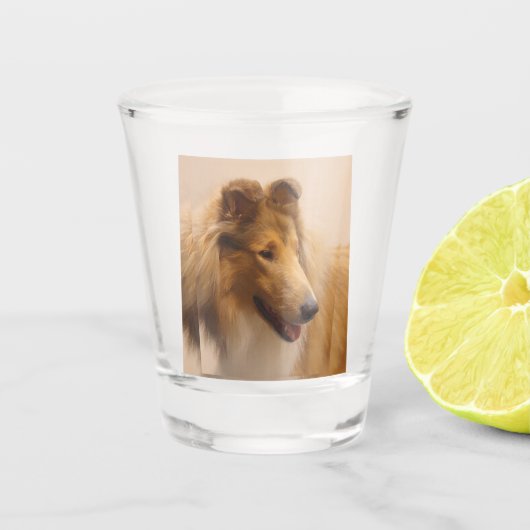 Portret van een ruige Sable Collie Shot Glas (Voorkant)