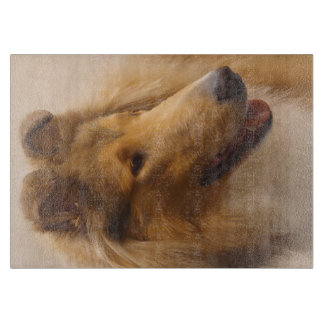 Portret van een ruige Sable Collie Snijplank