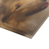 Portret van een ruige Sable Collie Snijplank (Hoek)