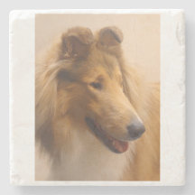 Portret van een ruige Sable Collie