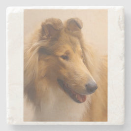 Portret van een ruige Sable Collie Stenen Onderzetter