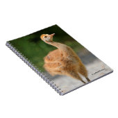 Portret van een Sandhill Crane Colt Notitieboek (Rechterzijde)