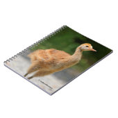 Portret van een Sandhill Crane Colt Notitieboek (Linkerzijde)