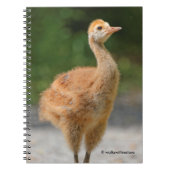 Portret van een Sandhill Crane Colt Notitieboek (Voorkant)