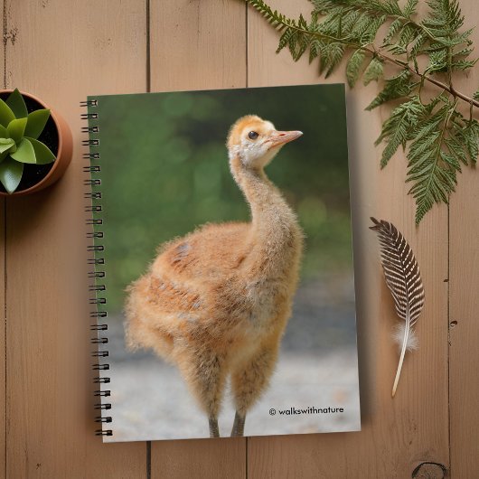 Portret van een Sandhill Crane Colt Notitieboek