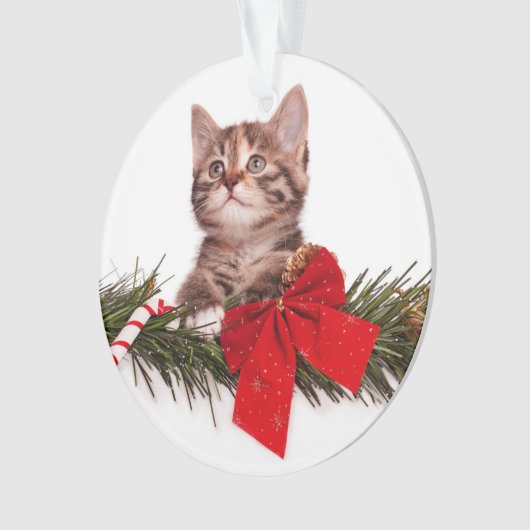 Portret van een Schattige kerstkitten Ornament (voorkant)