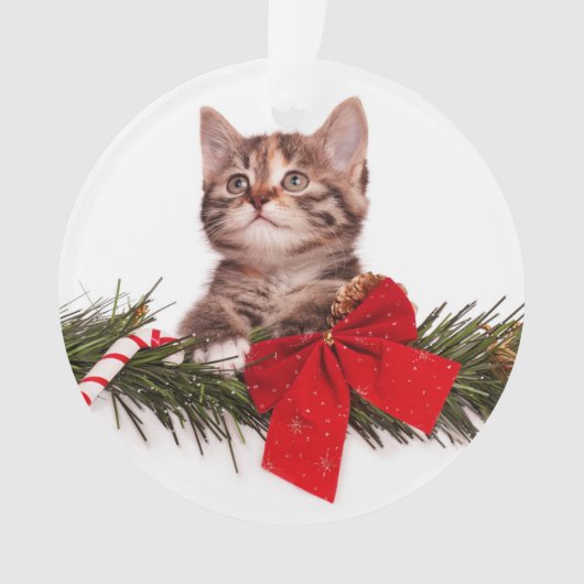 Portret van een Schattige kerstkitten Ornament (voorkant)