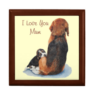 portret van een schattige puppy beagle die mum dog cadeaudoosje