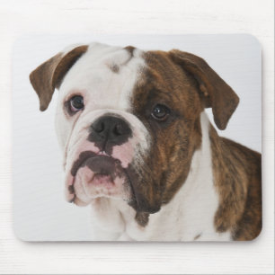 Portret van een schattige stierenhond muismat