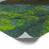 Portret van een Schattigee groenogige kat in een b Poster (Hoek)