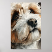 Portret van een shih-doodle hond poster (Voorkant)