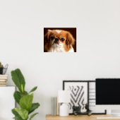 Portret van een Spaanse hond Poster (Thuiskantoor)