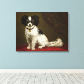 Portret van een Spanjaard Canvas Afdruk (Insitu (Houten vloer))
