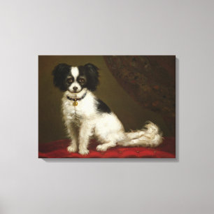 Portret van een Spanjaard Canvas Afdruk