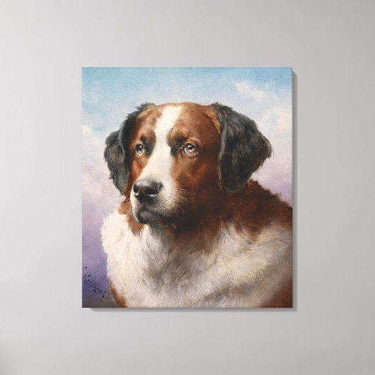 Portret van een St. Bernhard Dog Canvas Afdruk (Voorkant)