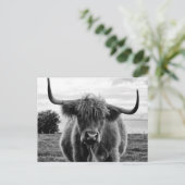 Portret van een stier briefkaart (Staand voorkant)