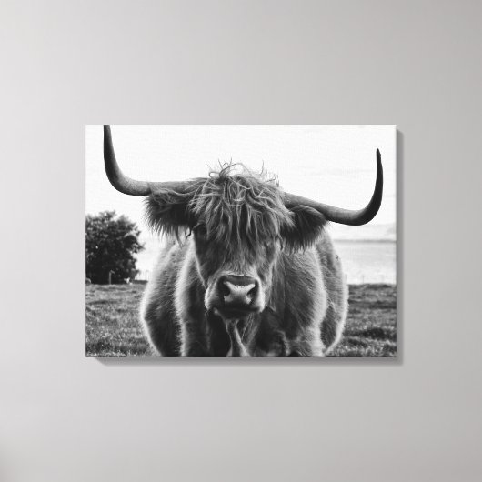 Portret van een stier canvas afdruk (Voorkant)