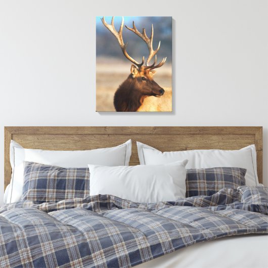Portret van een Stunning Bull Elk Canvas Afdruk (Insitu (Slaapkamer))