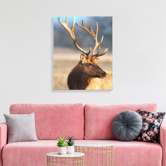 Portret van een Stunning Bull Elk Canvas Afdruk (Insitu (Woonkamer))