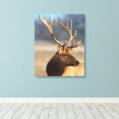 Portret van een Stunning Bull Elk Canvas Afdruk (Insitu (Houten vloer))