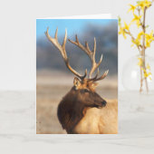 Portret van een Stunning Bull Elk Kaart (Gele Bloem)