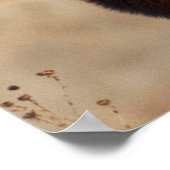 Portret van een Stunning Bull Elk Poster (Hoek)