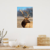 Portret van een Stunning Bull Elk Poster (Keuken)