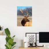 Portret van een Stunning Bull Elk Poster (Thuiskantoor)