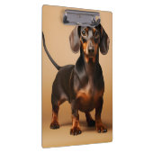 Portret van een teckel klembord (Rechts)