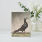 Portret van een trekkerduif briefkaart (Staand voorkant)