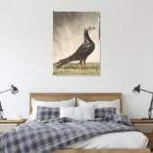 Portret van een trekkerduif canvas afdruk (Insitu (Slaapkamer))
