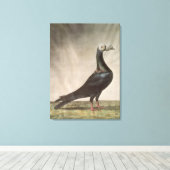 Portret van een trekkerduif canvas afdruk (Insitu (Houten vloer))