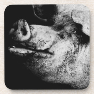 portret van een varken drankjes onderzetter